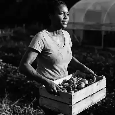 A farmer carrying a crate of fresh vegetables
